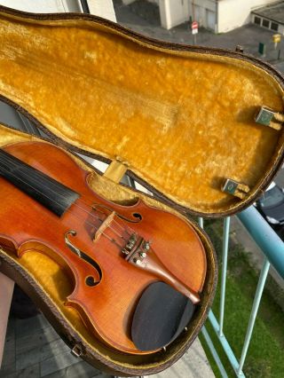 Old Italian Violin - Curletto Anselmo -
