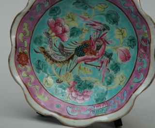 Chinese Peranakan / Nyonya Straits Turquoise and Pink Offering Dish,  late 19th C 3
