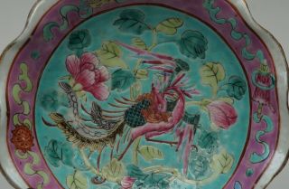 Chinese Peranakan / Nyonya Straits Turquoise and Pink Offering Dish,  late 19th C 4