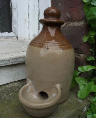 Antique / Vintage Stoneware 1/2 Pint Poultry / Bird Feeder Drinker