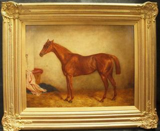 Large 19th Century Chestnut Race Horse In Stable Portrait Antique Oil Painting