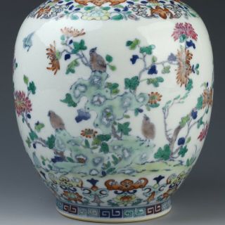 Antique Chinese Doucai Porcelain Vase with Flower and Bird 5