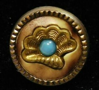 Antique Vtg Button Small Ome Brass Clam Shell In Celluloid W/a Pierrerie J7