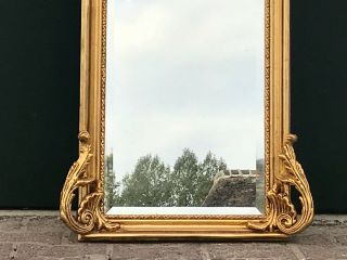 Wonderful Baroque Floor Mirror With Portrait -