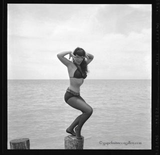 Bettie Page 1954 Camera Negative Bunny Yeager Estate Vamping Pin - up Fab 2