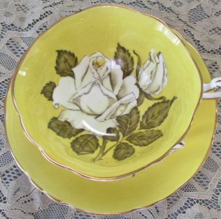 Antique Paragon English Bone China Yellow Cup Saucer Floating White Cabbage Rose