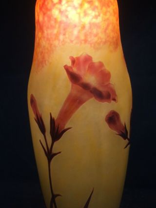 Rare Antique Delicate DAUM NANCY Vase France 13 - 1/4” Tall 6