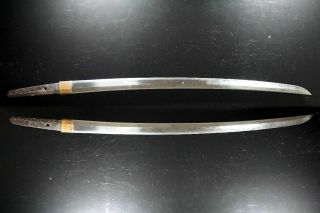 Signed Japanese Samurai L - Wakizashi Sword 