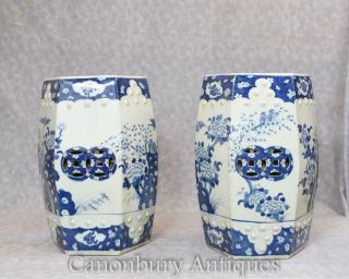 Pair Chinese Blue And White Porcelain Garden Seats Ming