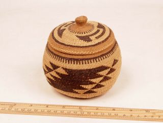 Antique Yurok / Hupa / Karok Lidded Tobacco Basket 5 1/2 " X 5 " C.  1910s