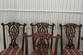 Vintage Chippendale Solid Mahogany Ball & Claw Dining Chairs - Set of 6 3