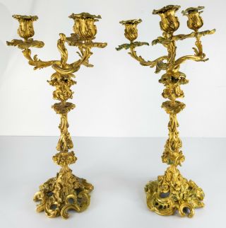 Antique French Ormolu Gilt Bronze Rococo Louis Xvi Candlesticks Candelabras