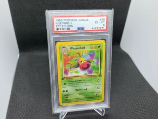 1999 Pokemon 1st Edition Weepinbell 48/64 Jungle Psa 9 Mt