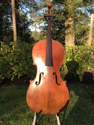 Very Unusual Old Antique Cello For Repair
