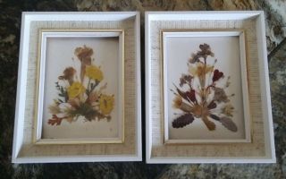Vintage Reichlin Handmade Switzerland Framed Dried Flower Pictures 4x3