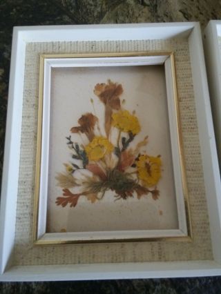 Vintage Reichlin Handmade Switzerland Framed Dried Flower Pictures 4x3 2