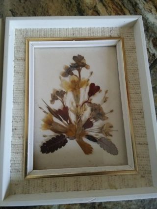 Vintage Reichlin Handmade Switzerland Framed Dried Flower Pictures 4x3 3