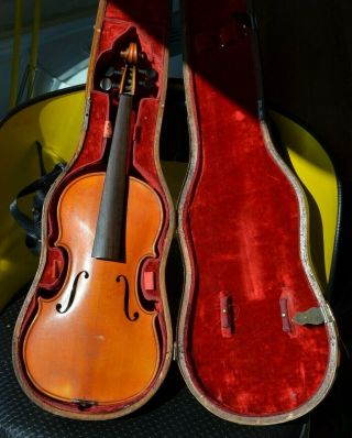 Old Italian Violin - Paola Granzino -