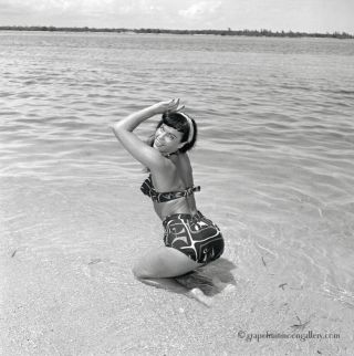 Bettie Page 1954 Camera Negative Bunny Yeager Estate Smiling In Bikini