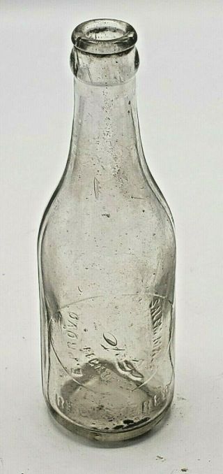 Antique Bottle E.  Provo Registered Trade Mark Salem,  Mass Emboss Witch Cir.  1895