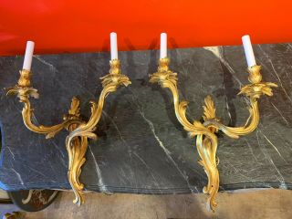 A Pair Late 19th Early 20th Century Louis Xvi Style Gilt Bronze Twin Branch Wall