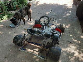 2 Margay Go Karts And Spare Parts