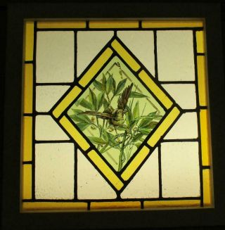 Victorian Old English Leaded Stained Glass Window Painted Bird 19.  25 " X 19.  75 "