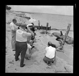 Bettie Page Rare 1954 Camera Negative Bunny Yeager Estate Behind The Scenes View 2