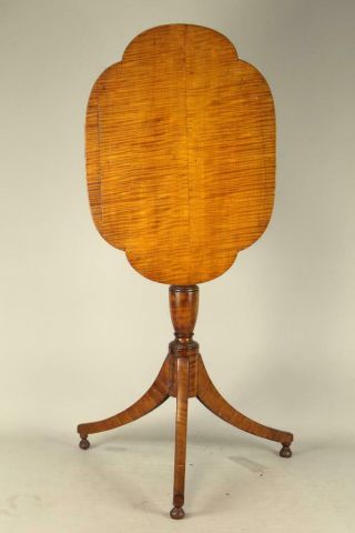 Great 18th C Pa Federal Tilt Top Candlestand In The Best Screaming Tiger Maple