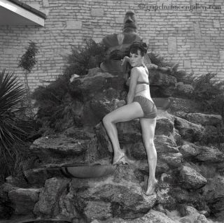 Bunny Yeager 1966 Camera Pin - Up Negative Photograph Pretty Bathing Beauty Model