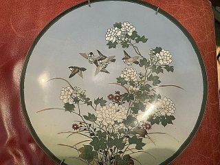Pair Japanese Meiji Cloisonne 12 " Plate Charger W Birds,  Flowers