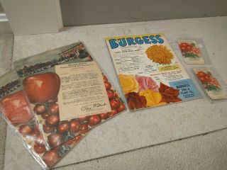 Five Antique Seed Catalogs & Packets: 1963 Burgess,  1941 Stark Bro 