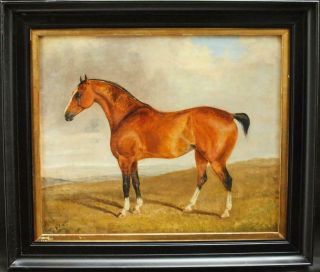 Fine 19th Century Chestnut Race Horse In Landscape Antique Oil Painting