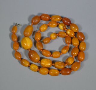 Fine String Of Antique Yellow Egg Yolk Butterscotch Baltic Amber Beads 65 Grams