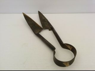 Vintage Sheep Shears Scissors,  12 " Long,  Steel,  Antique Hand Tool