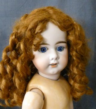 13 " Aub Doll Wig For Vintage Doll,  Wig For Antique Doll,  Large Doll Wig
