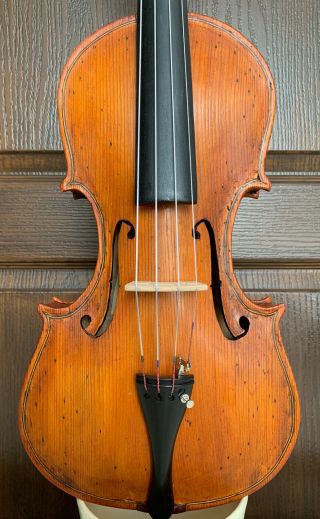 Fine,  Italian Old Antique Labelled 4/4 Master Viola - Ready To Play