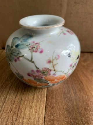 Chinese China Antique Famille Rose Porcelain Water Pot Painted Birds