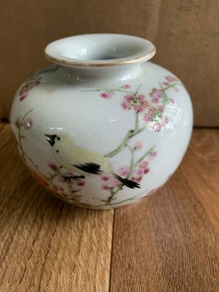 Chinese China Antique Famille Rose Porcelain Water Pot Painted Birds 2