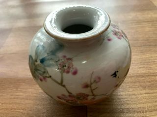 Chinese China Antique Famille Rose Porcelain Water Pot Painted Birds 3