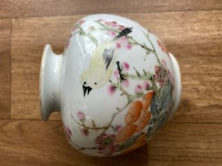 Chinese China Antique Famille Rose Porcelain Water Pot Painted Birds 4