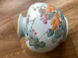 Chinese China Antique Famille Rose Porcelain Water Pot Painted Birds 6