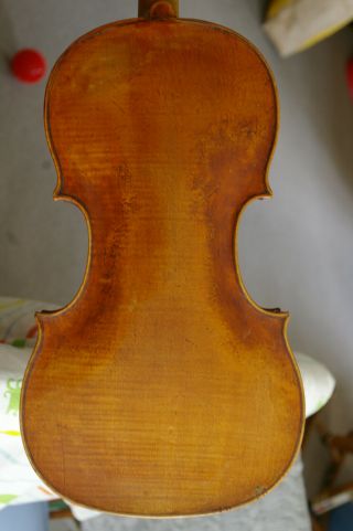 18th Century Violin Labelled Camillus Camilli Fecit Mantuae 1739