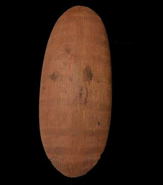 Fine large Aboriginal central desert bean wood shield 2