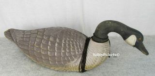 Vintage General Fibre Co.  Ariduk Paper Mache Hunt Goose Duck Decoy Glass Eyes