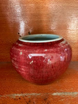 Antique Chinese Porcelain Sang De Boeuf Crackle Red Glazed Ceramic Water Pot