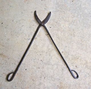 Antique Fireplace Log Grabber Tool (saw Tooth Jaws) Hand Forged Wrought Iron