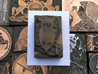 Antique Vtg Wood Owl Letterpress Print Type Cut Ornament Block