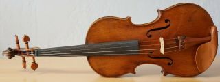 old violin 4/4 geige viola cello fiddle label MATTEO GOFFRILLER 1484 2