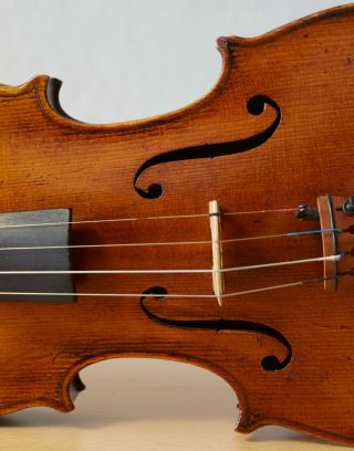 old violin 4/4 geige viola cello fiddle label MATTEO GOFFRILLER 1484 4